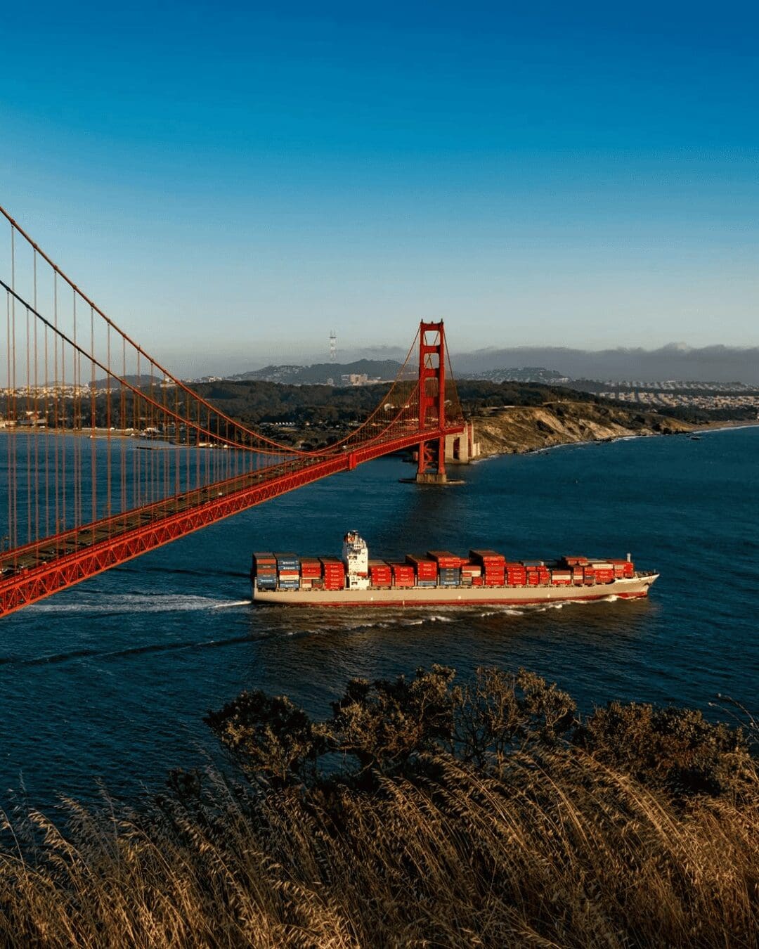 Container ship carrying cargo en route to international export